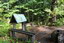 Botanical garden of Vladivostok, The path is equipped with benches for relaxation