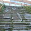 Владивостокский Фуникулер и Орлиное гнездо, Веселая лестница к Университету